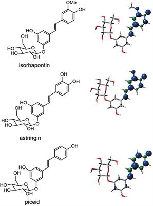 Radical Coupling Reactions of Hydroxystilbene Glucosides and Coniferyl Alcohol: A Density Functional Theory Study